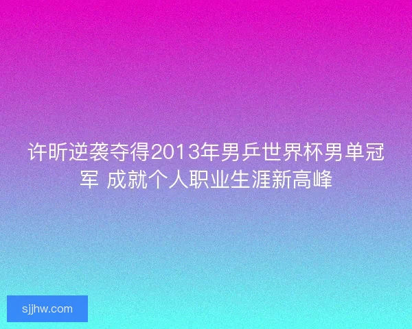 许昕逆袭夺得2013年男乒世界杯男单冠军 成就个人职业生涯新高峰